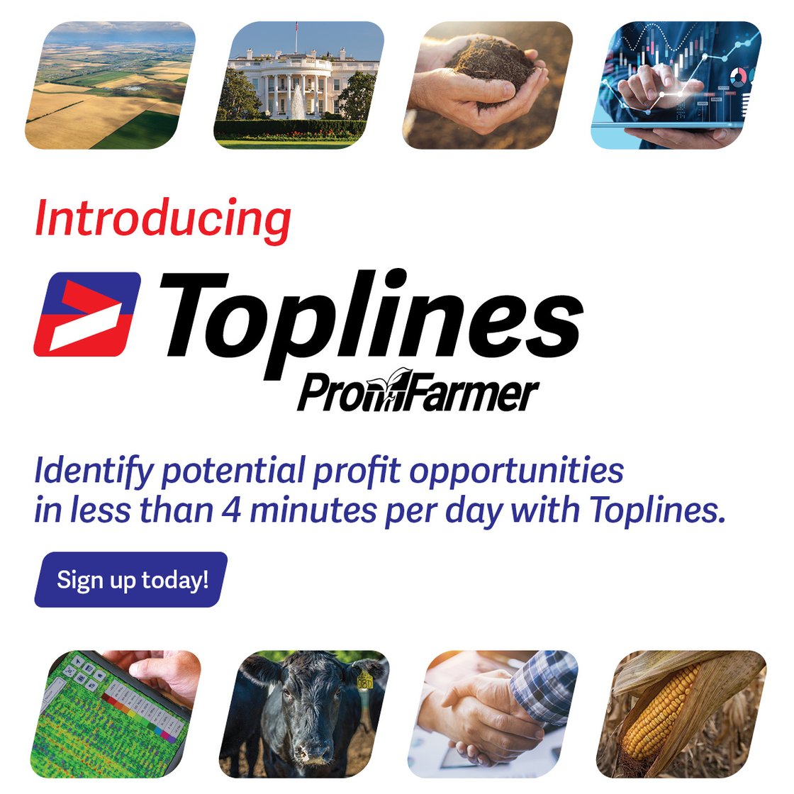 0011_PF_TopLine_1200x1200_JM3b